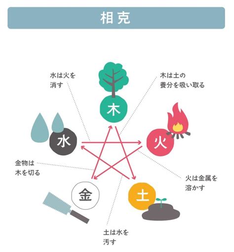 金剋木|「金剋木」の意味や使い方 わかりやすく解説 Weblio辞書